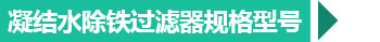 西安凝結(jié)水除鐵過濾器規(guī)格